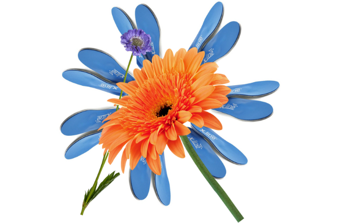 Using Insoles in Podiatry – An Overview