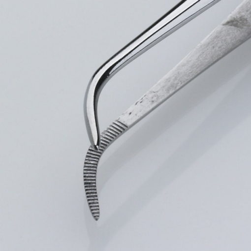 Iris Dissecting Forceps Curved Serrated 11.5cm Product Image Jaws min