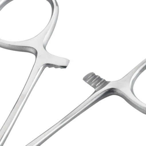 Lock of Single Use Spencer Wells Curved Artery Forceps